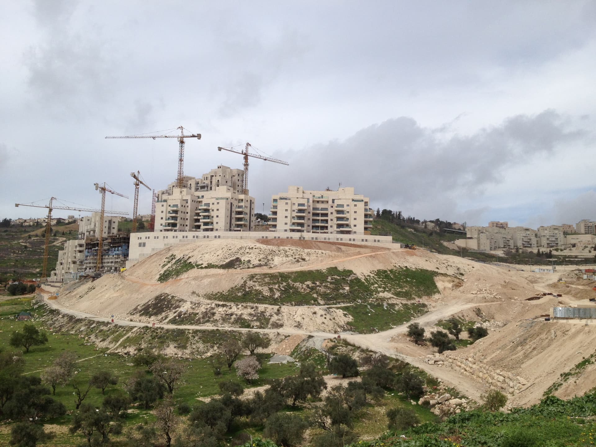 תלפיות מזרח — גשר ופיתוח לבוני התיכון — 8